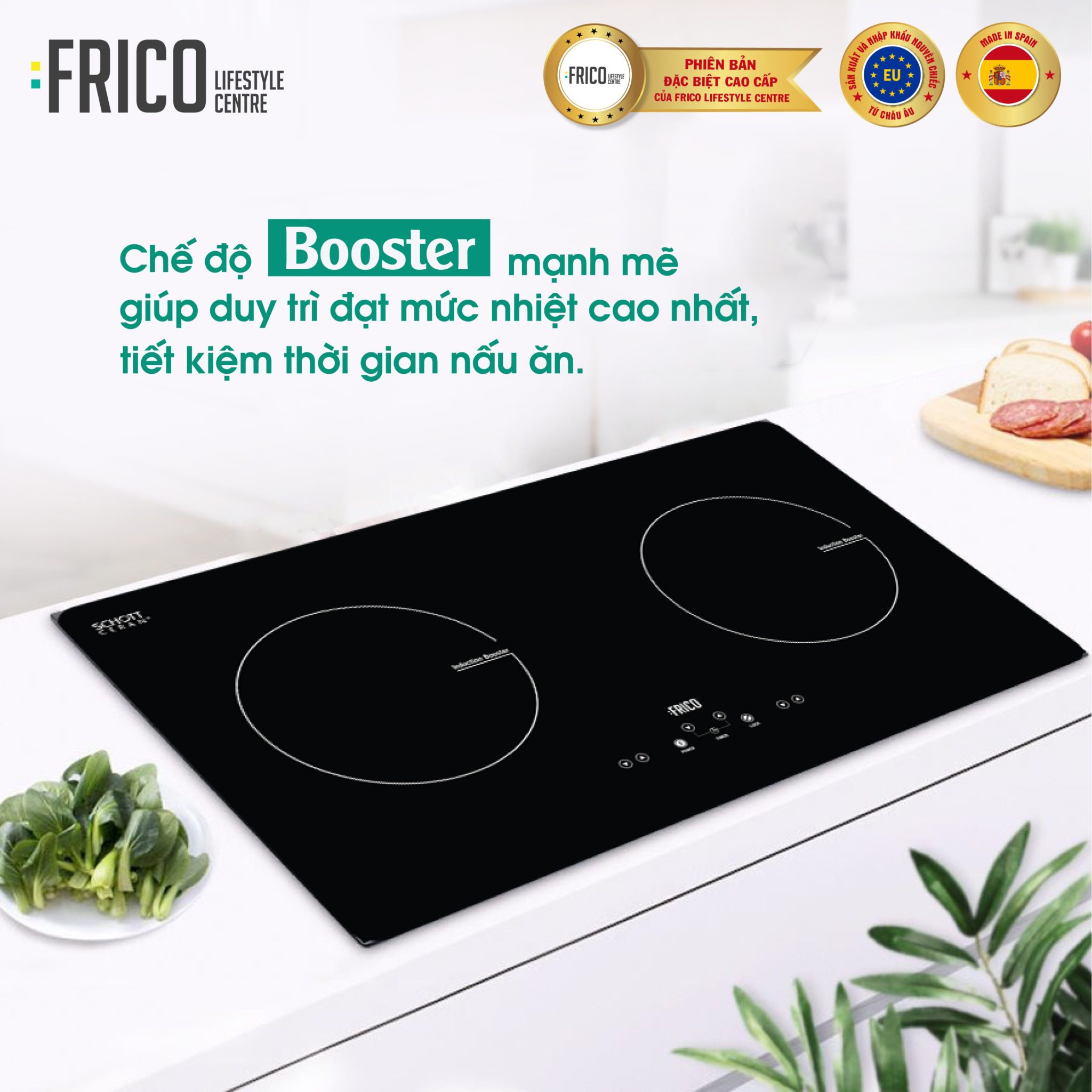 FCDC176es Induction Cooker Frico Vietnam